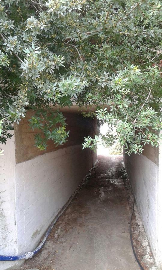 House Garli Apartment Psakoudia Exterior photo